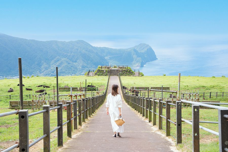 秋冬の八丈島への旅にお得な旅行クーポンのご案内